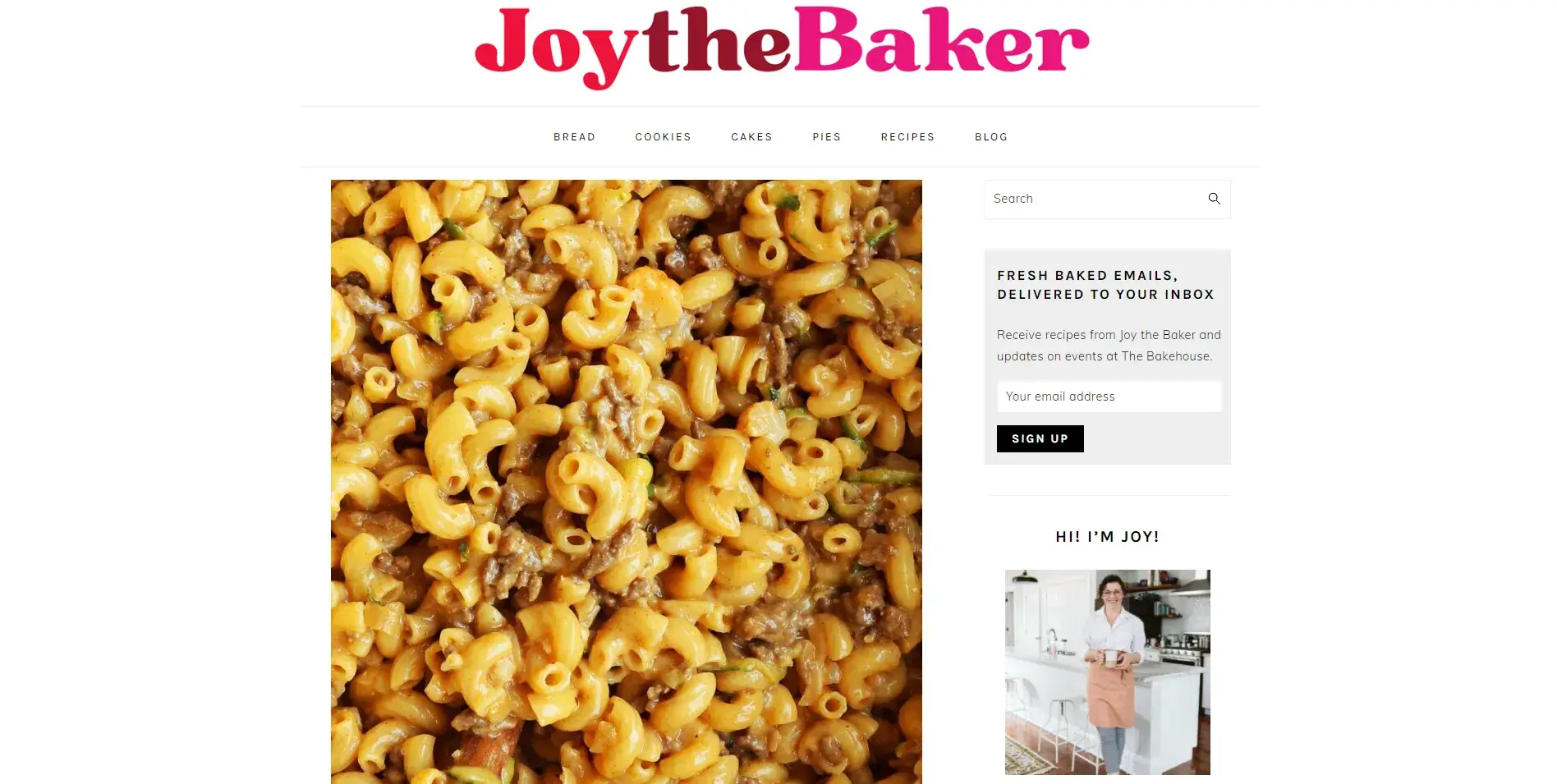 Joy Wilson - Food Blogging