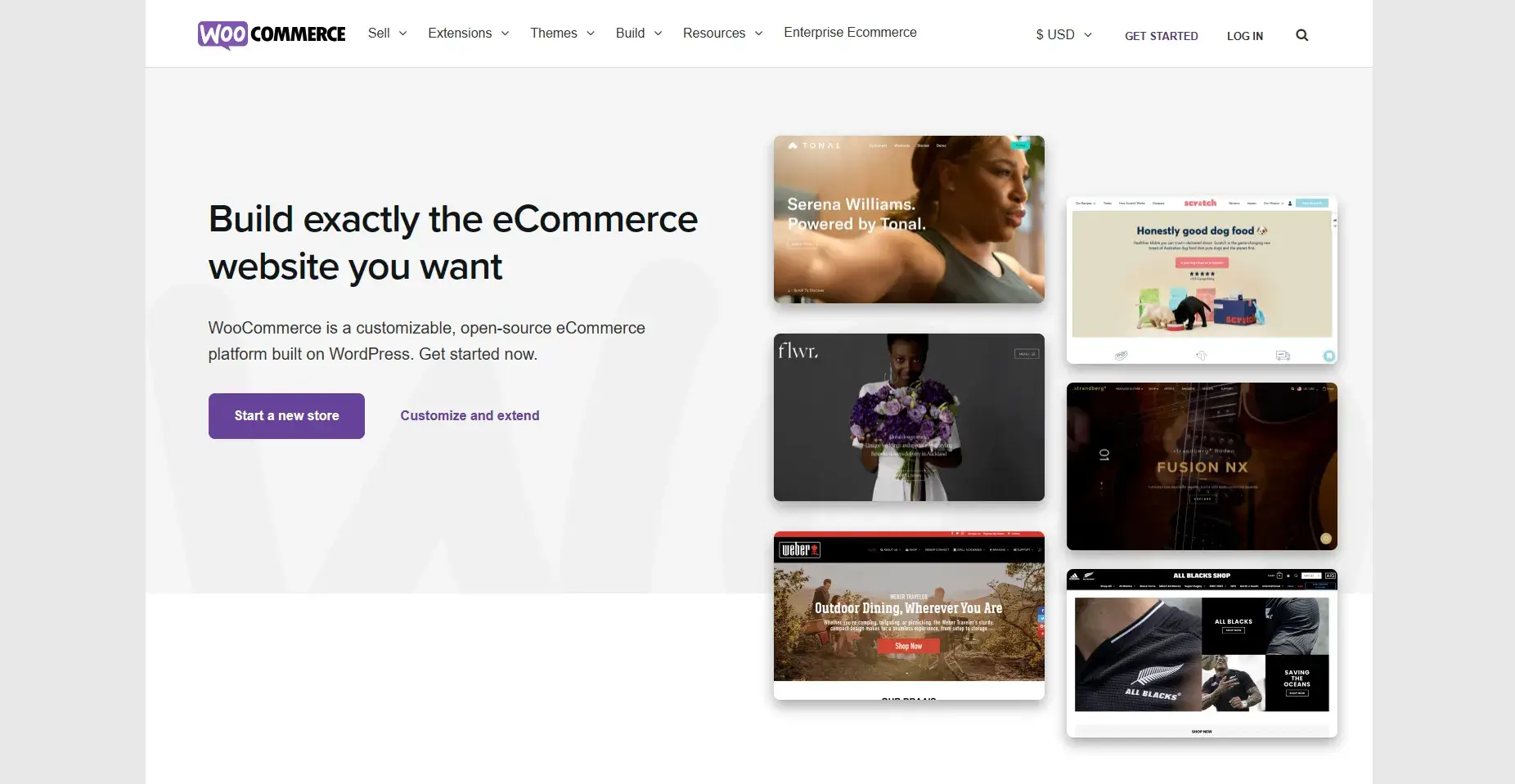 The best WordPress plugins: Woo commerce