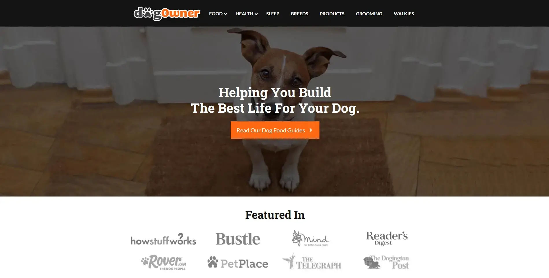 Blogs for dogs: Dog owner