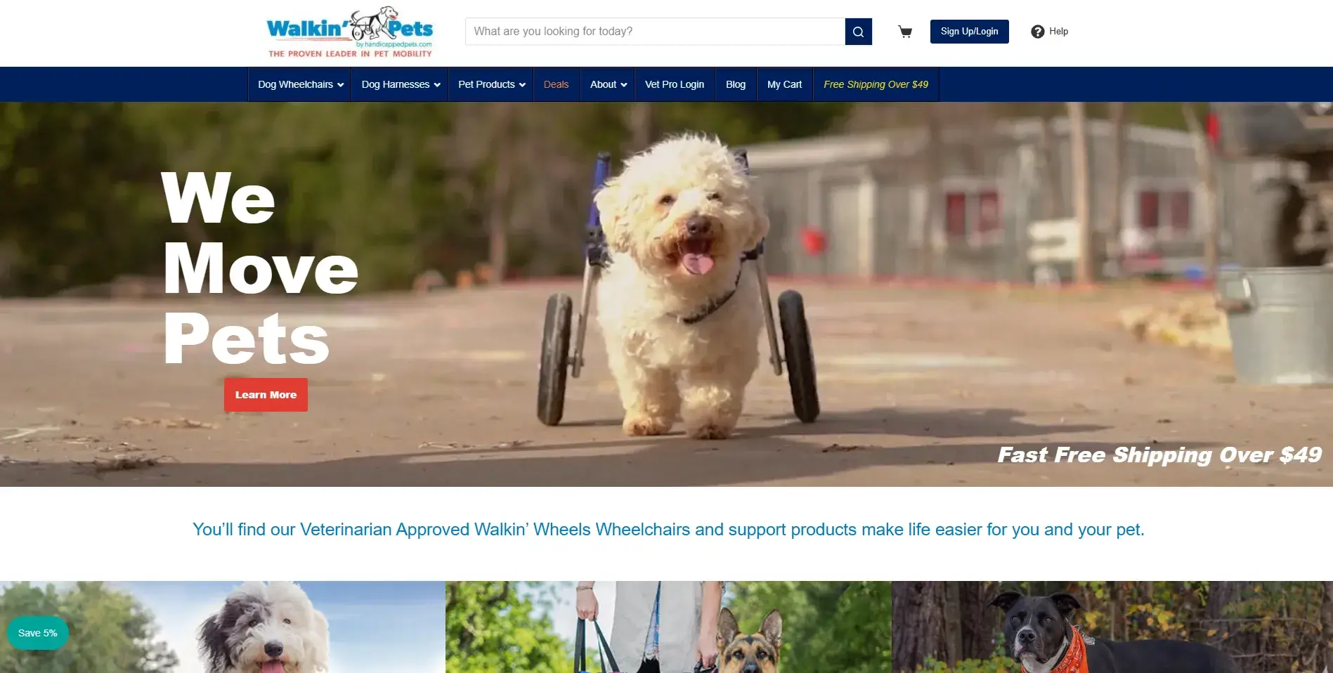 Blogs for dogs: Handicapped Pets