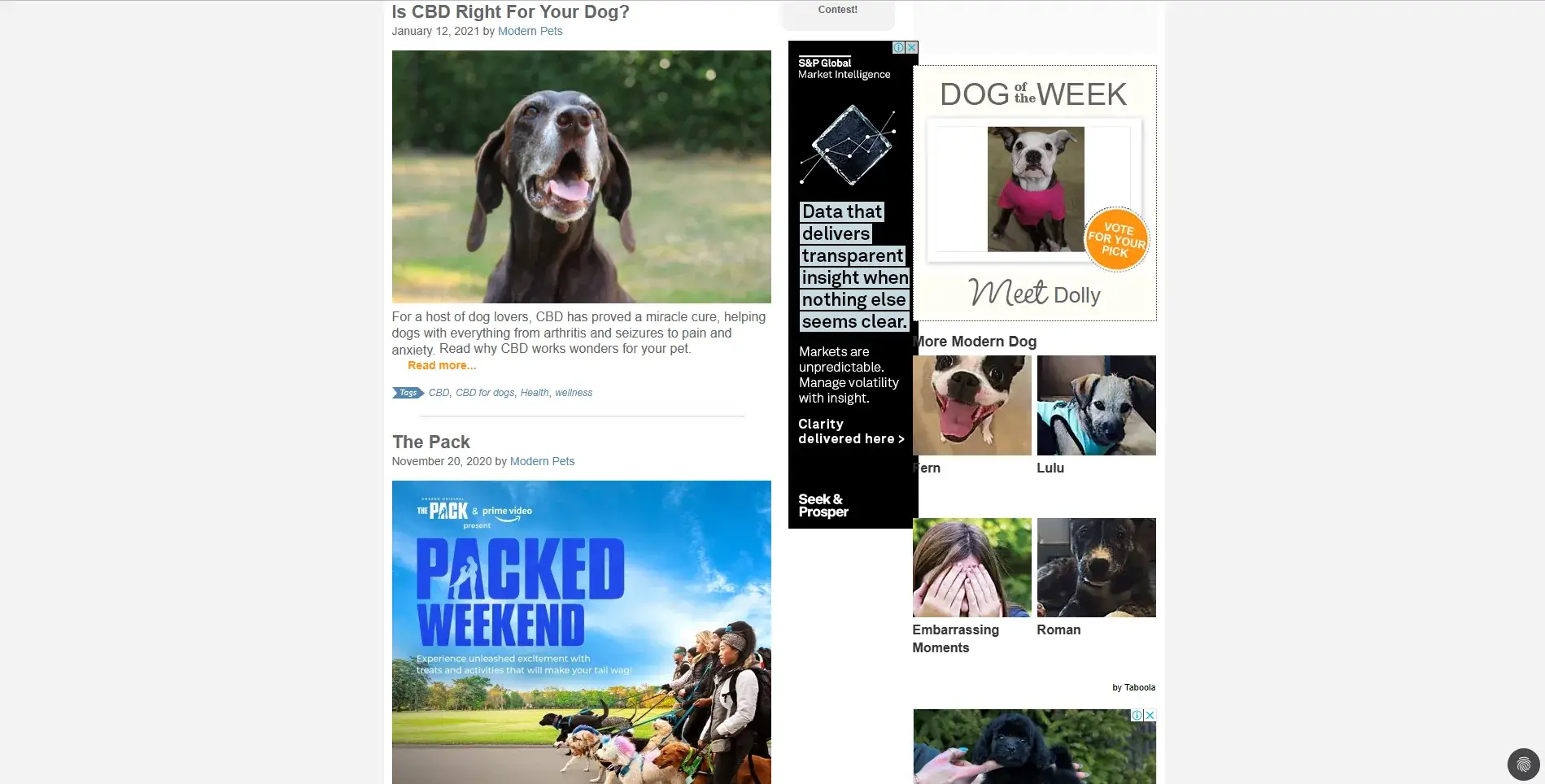 Blogs for dogs: Modern Dog Magazine